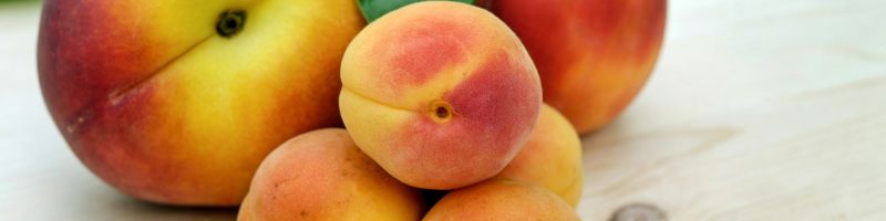 IDqgsG vmhU.jpg IDqgsG vmhU.jpg